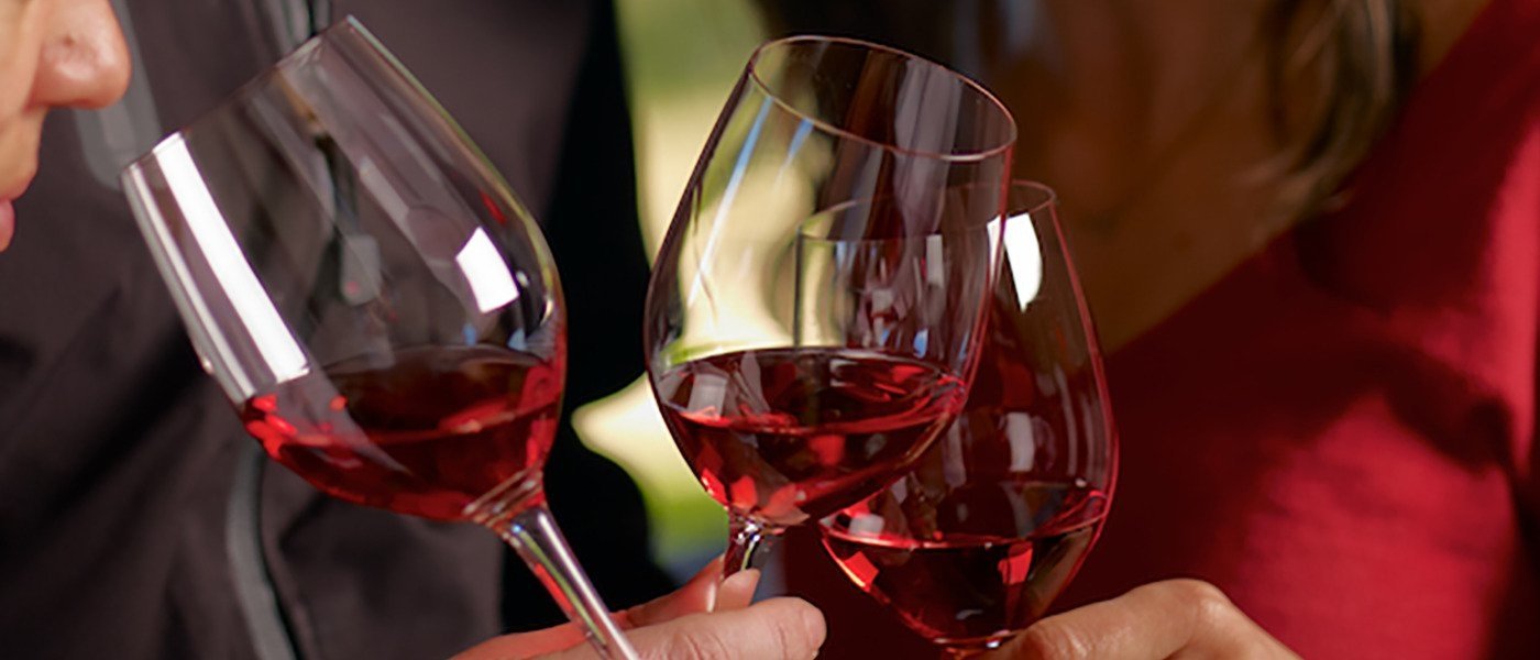Exclusive wine tasting at Clos Apalta